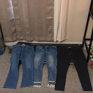 LOFT Blue and Black Jeans Collection